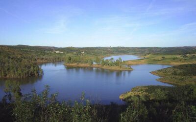 El Pantano de Aznalcóllar