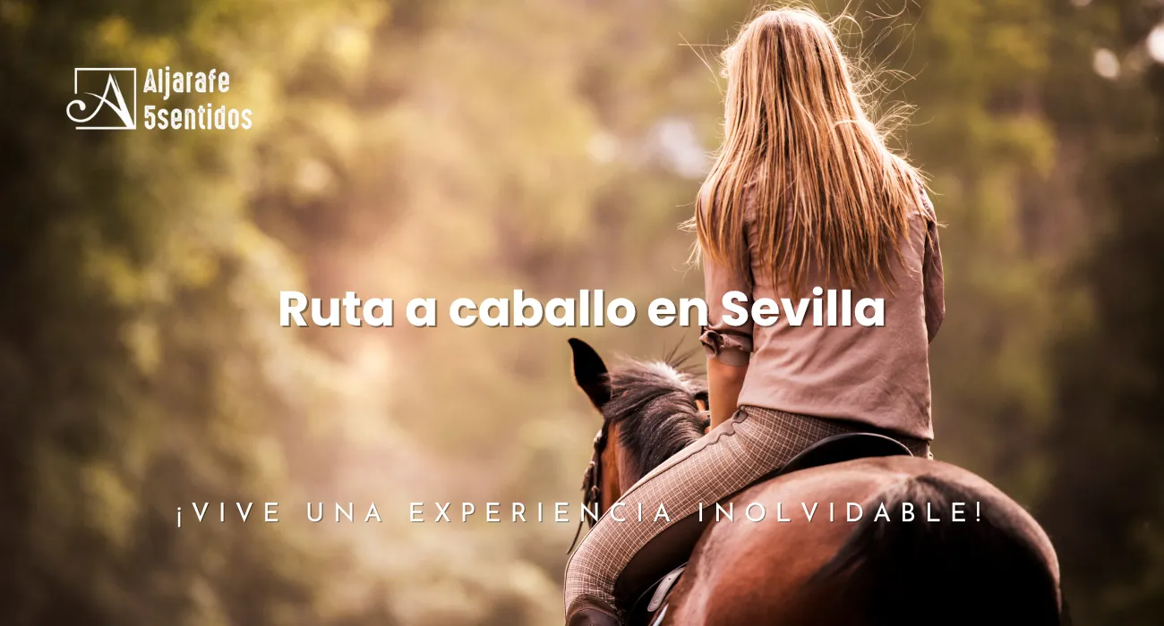 Vive una ruta a caballo en Sevilla entre paisajes naturales, caminos rurales y experiencias ecuestres en entornos únicos del Aljarafe.