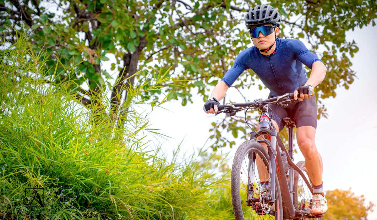 Tiendas de bicicletas en el Aljarafe. Rutas en bici
