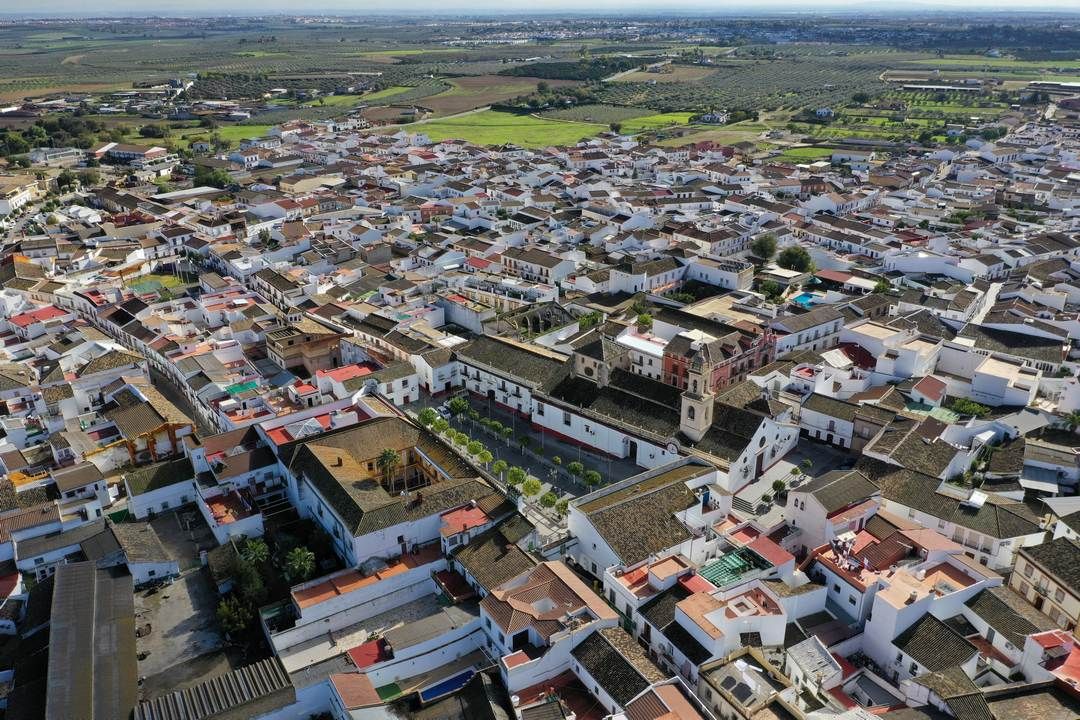 vista aerea de Olivares