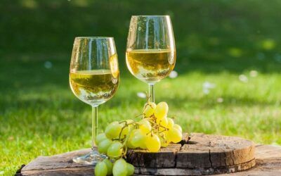 La Ruta del Mosto en el Aljarafe