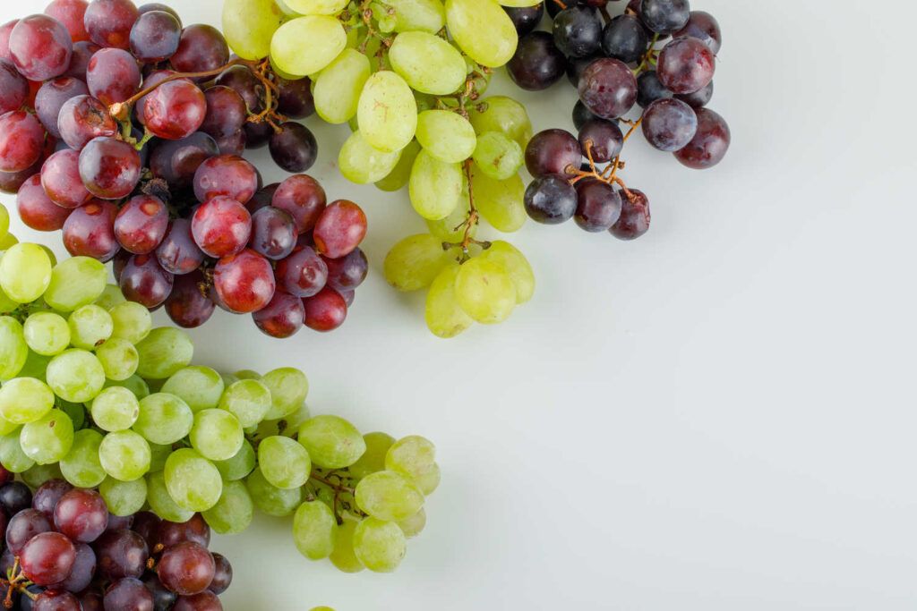 tipos de uva para hacer el vino mosto blanco o mosto rojo o tinto