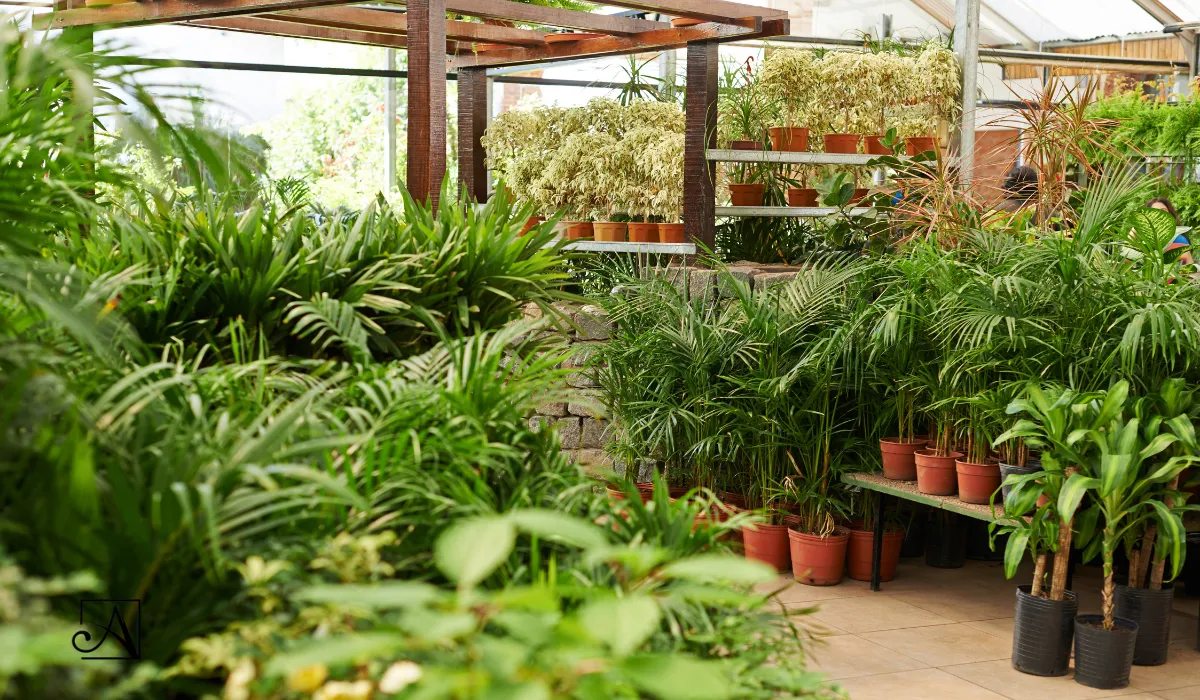 Viveros en el Aljarafe: dónde comprar plantas, árboles y jardinería en Sevilla